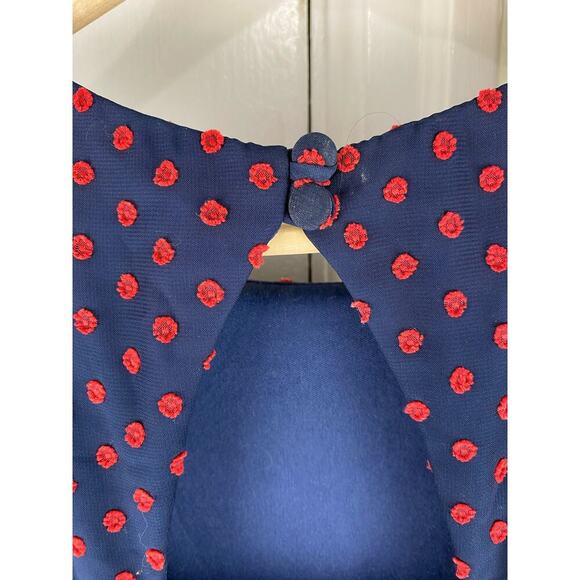 Anthropology Eva Franco Maryanne Size 2 Blue Red Polka Dot Ruffle Dress - Picture 6 of 8